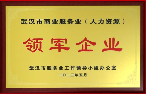 喜報丨熱烈祝賀騰飛人才榮獲武漢市服務(wù)業(yè)領(lǐng)軍企業(yè)稱號